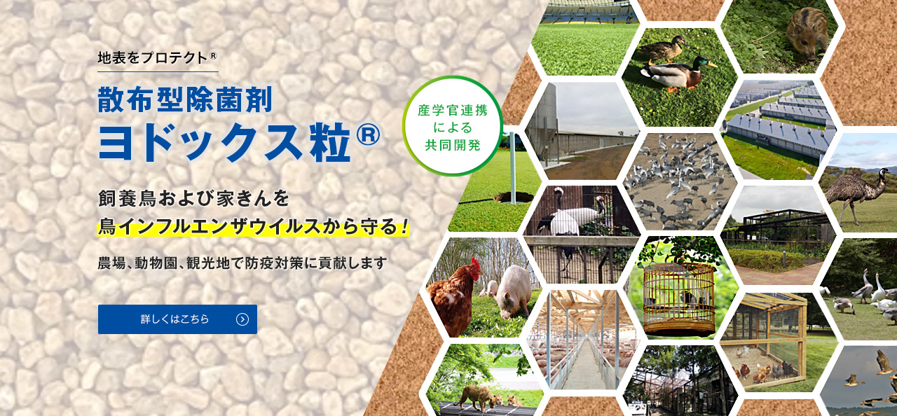 散布型除菌剤 ヨドックス粒® 飼養鶏および家きんを鳥インフルエンザウイルスから守る！ 農場、動物園、観光地で防疫対策に貢献します。 詳しくはこちら