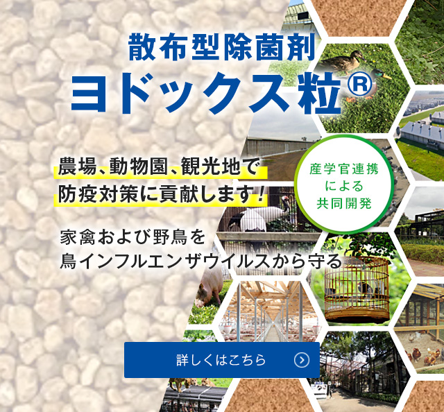 散布型除菌剤 ヨドックス粒® 飼養鶏および家きんを鳥インフルエンザウイルスから守る！ 農場、動物園、観光地で防疫対策に貢献します。 詳しくはこちら