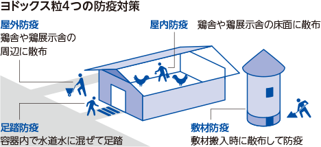 屋外防疫 鶏舎や鶏展示舎の周辺に散布 足踏防疫 容器内で水道水に混ぜて足踏 屋内防疫 鶏舎や鶏展示舎の床面に散布 敷材防疫 敷材搬入時に散布して防疫